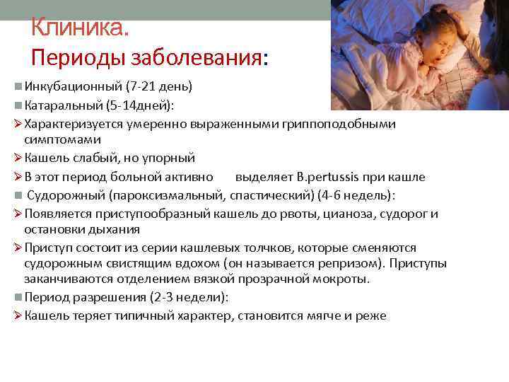 Клиника. Периоды заболевания: n Инкубационный (7 -21 день) n Катаральный (5 -14 дней): ØХарактеризуется