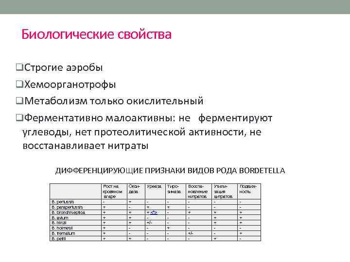 Биологические свойства q. Строгие аэробы q. Хемоорганотрофы q. Метаболизм только окислительный q. Ферментативно малоактивны: