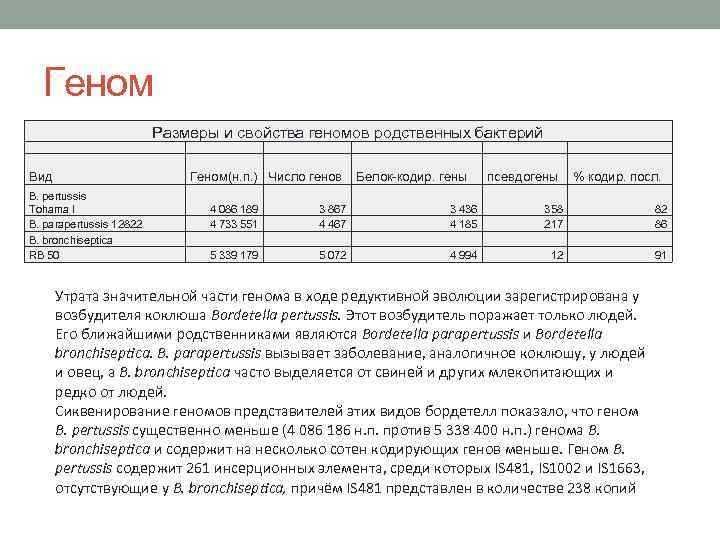 Геном Размеры и свойства геномов родственных бактерий Вид B. pertussis Tohama I B. parapertussis