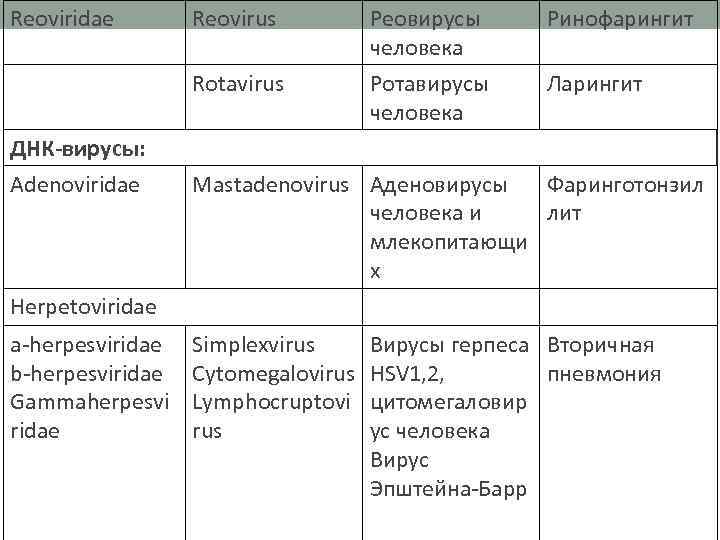 Reoviridae Reovirus Реовирусы человека Ринофарингит Rotavirus Ротавирусы человека Ларингит ДНК-вирусы: Adenoviridae Mastadenovirus Аденовирусы Фаринготонзил