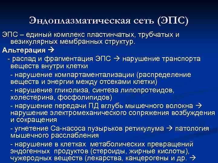 Эндоплазматическая сеть (ЭПС) ЭПС – единый комплекс пластинчатых, трубчатых и везикулярных мембранных структур. Альтерация