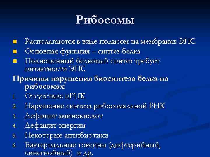 Рибосомы Располагаются в виде полисом на мембранах ЭПС n Основная функция – синтез белка