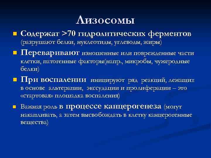 Лизосомы n Содержат >70 гидролитических ферментов (разрушают белки, нуклеотиды, углеводы, жиры) n Переваривают изношенные