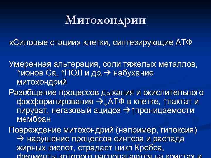 Митохондрии «Силовые стации» клетки, синтезирующие АТФ Умеренная альтерация, соли тяжелых металлов, ↑ионов Са, ↑ПОЛ