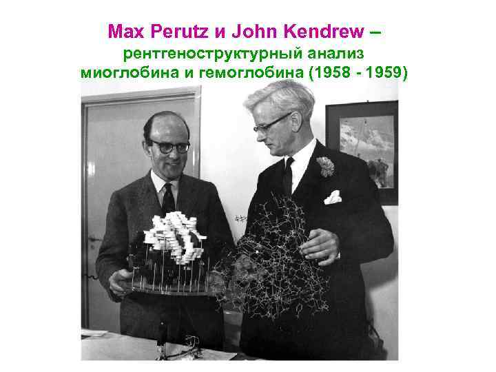 Max Perutz и John Kendrew – рентгеноструктурный анализ миоглобина и гемоглобина (1958 - 1959)