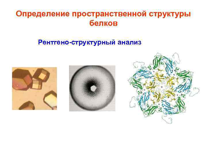 Определение пространственной структуры белков Рентгено-структурный анализ 