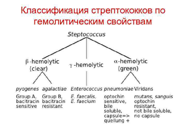 Классификация стрептококков по гемолитическим свойствам 