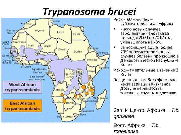 Trypanosoma brucei Риск - 60 млн. чел. – субэкваториальная Африка • число новых случаев