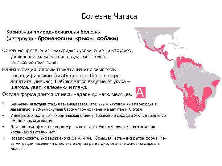  Болезнь Чагаса Зоонозная природноочаговая болезнь (резервуар - броненосцы, крысы, собаки) Основные проявления -