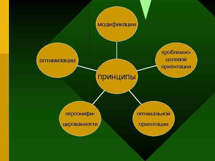 модификации проблемноцелевой ориентации оптимизации принципы персонифи- оптимальной цированности ориентации 