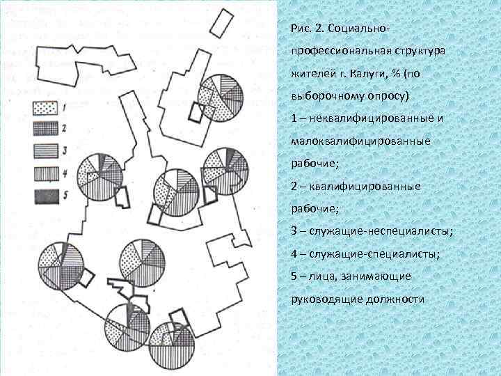Рис. 2. Социально профессиональная структура жителей г. Калуги, % (по выборочному опросу) 1 –
