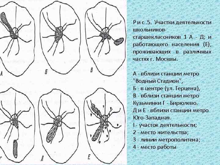 Р и с. 5. Участки деятельности школьников старшеклассников 1 А Д; и работающего населения