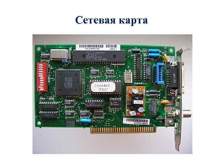 Сетевая карта 