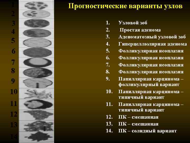 1 2 3 4 5 6 7 8 9 10 11 12 13 14