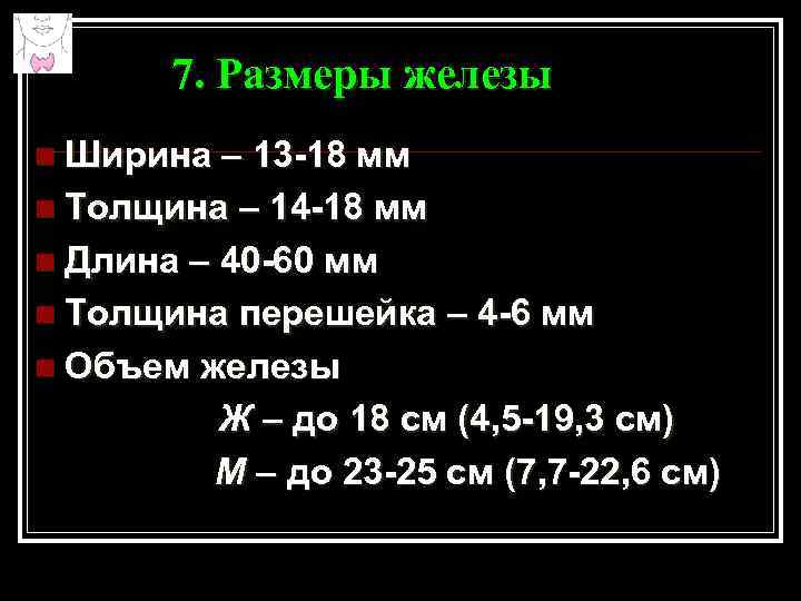7. Размеры железы n Ширина – 13 -18 мм n Толщина – 14 -18