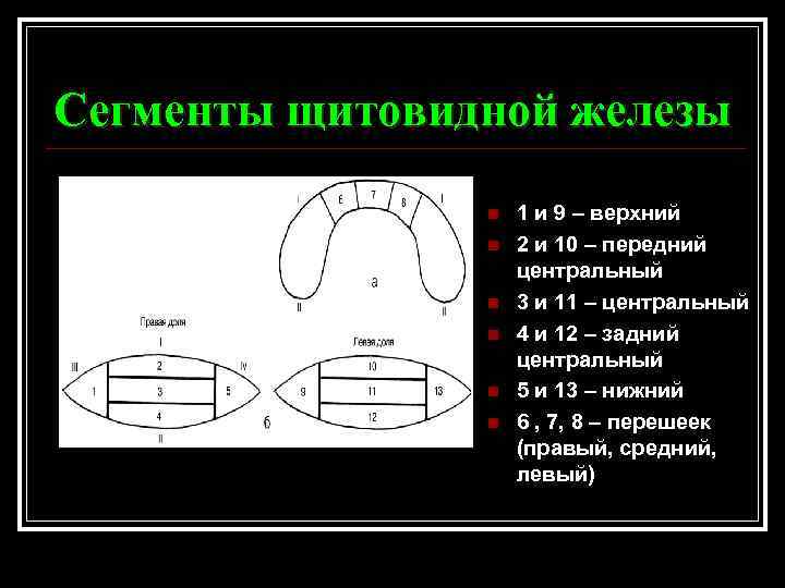 Страницы и сегменты