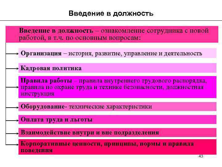 1 составьте план действий связанных с введением в должность новых сотрудников