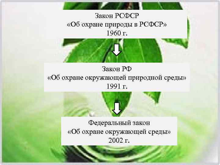 Приму к среде. Охрана природы в РСФСР. Об охране природы в РСФСР 1960. Законы об охране природы. Закон об охране природы СССР.