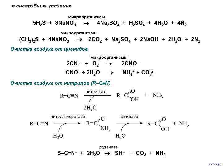 в анаэробных условиях микроорганизмы 5 H 2 S + 8 Na. NO 3 4