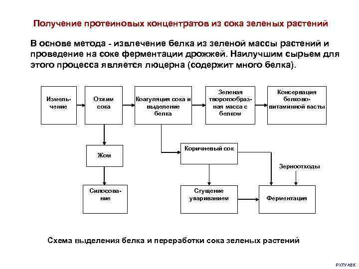 Получение протеиновых концентратов из сока зеленых растений В основе метода - извлечение белка из