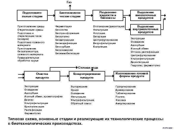  Газ Подготовите- Биотехнологи- Разделение Выделение льные стадии ческие стадии жидкости и внеклеточных биомассы