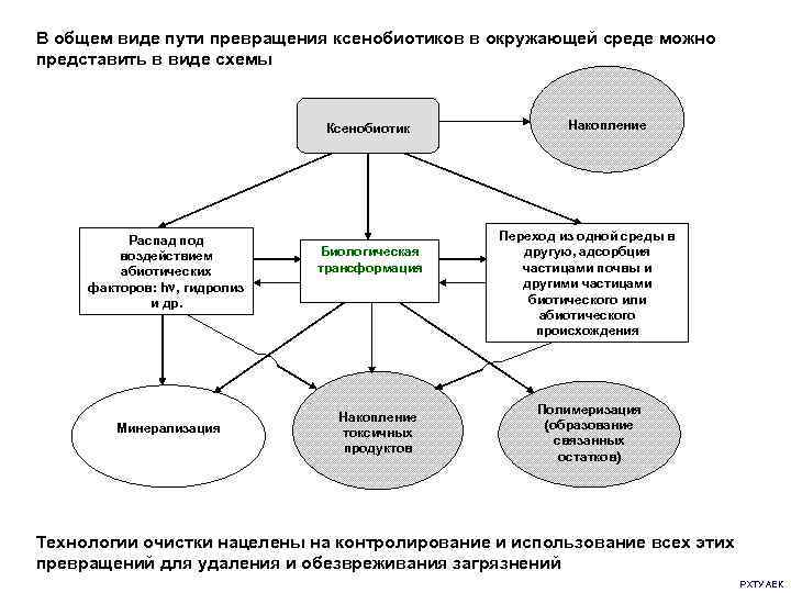 В общем виде пути превращения ксенобиотиков в окружающей среде можно представить в виде схемы