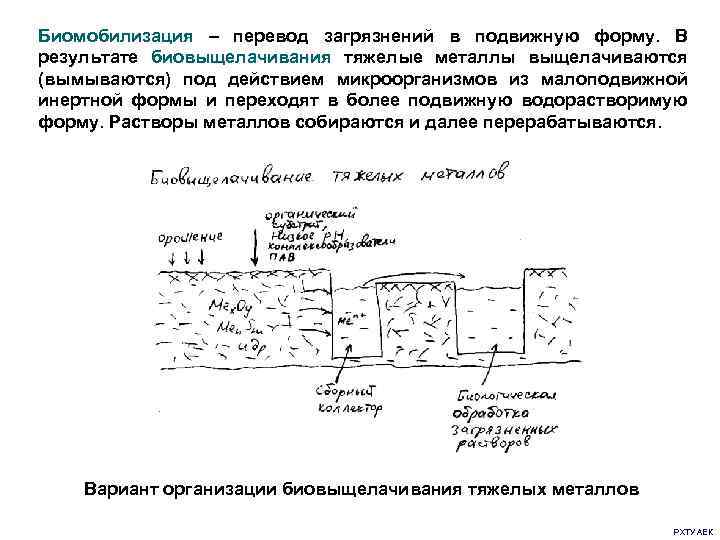 Биомобилизация – перевод загрязнений в подвижную форму. В результате биовыщелачивания тяжелые металлы выщелачиваются (вымываются)