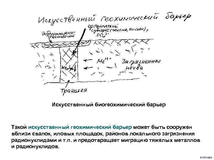 Искусственный биогеохимический барьер Такой искусственный геохимический барьер может быть сооружен вблизи свалок, иловых площадок,