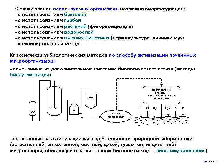 С точки зрения используемых организмов возможна биоремедиация: - с использованием бактерий - с использованием