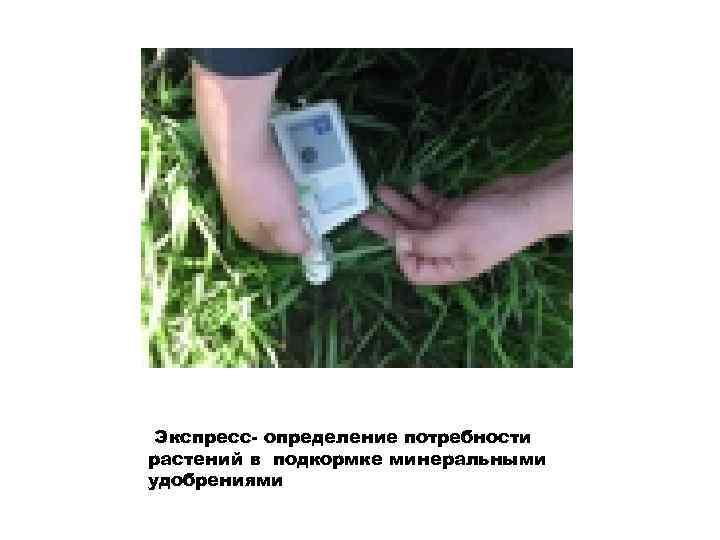 Экспресс- определение потребности растений в подкормке минеральными удобрениями 