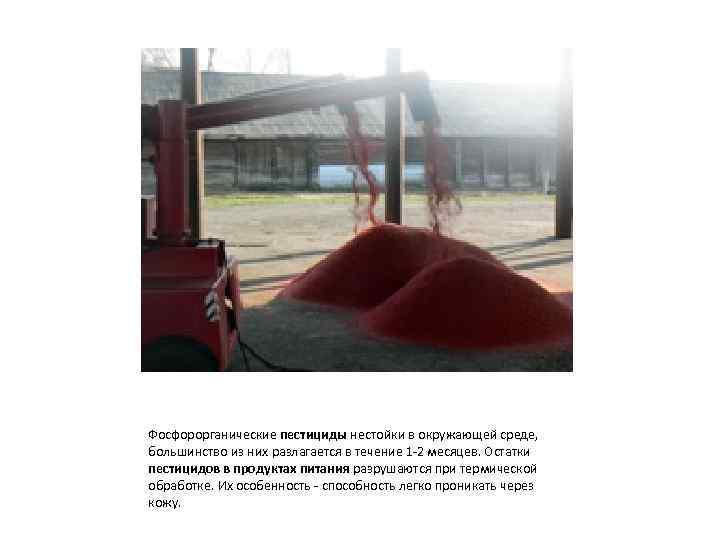 Фосфорорганические пестициды нестойки в окружающей среде, большинство из них разлагается в течение 1 -2