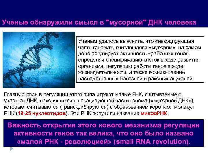 Ученые обнаружили смысл в "мусорной" ДНК человека Ученым удалось выяснить, что «некодирующая часть генома»