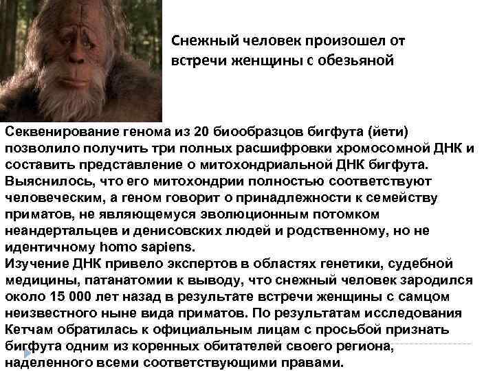 Снежный человек произошел от встречи женщины с обезьяной Секвенирование генома из 20 биообразцов бигфута