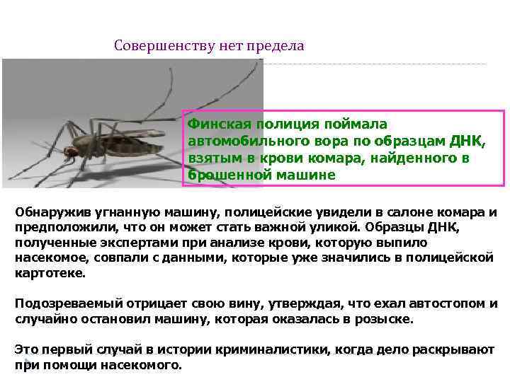  Совершенству нет предела Финская полиция поймала автомобильного вора по образцам ДНК, взятым в