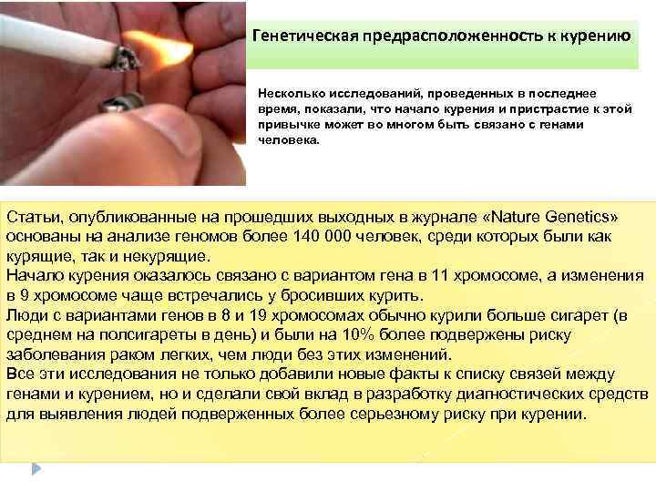Генетическая предрасположенность к курению Несколько исследований, проведенных в последнее время, показали, что начало курения