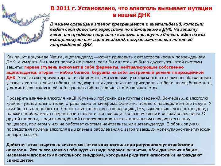 В 2011 г. Установлено, что алкоголь вызывает мутации в нашей ДНК В нашем организме