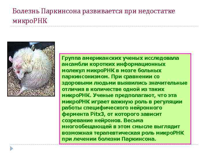 Болезнь Паркинсона развивается при недостатке микро. РНК Группа американских ученых исследовала ансамбли коротких информационных