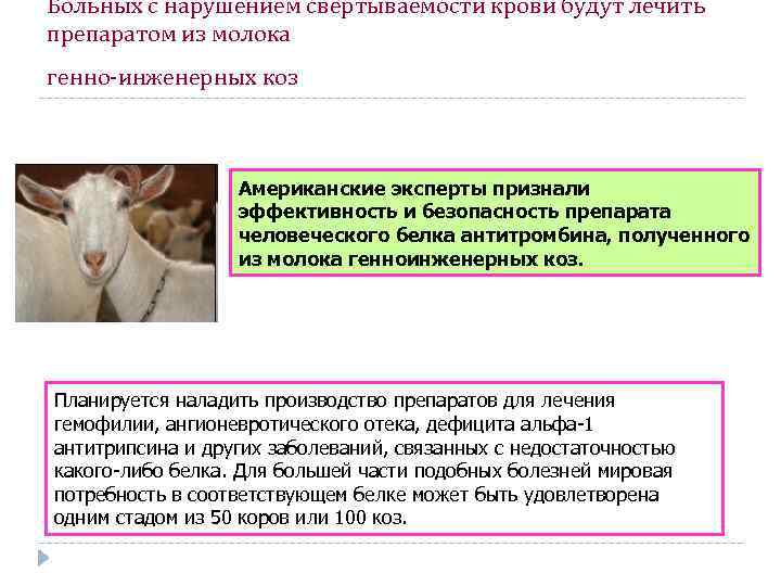 Больных с нарушением свертываемости крови будут лечить препаратом из молока генно-инженерных коз Американские эксперты