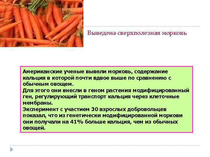 Выведена сверхполезная морковь Американские ученые вывели морковь, содержание кальция в которой почти вдвое выше