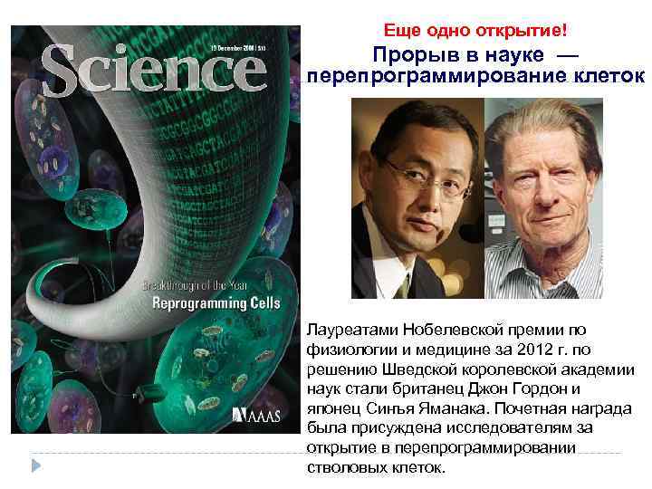Еще одно открытие! Прорыв в науке — перепрограммирование клеток Лауреатами Нобелевской премии по физиологии