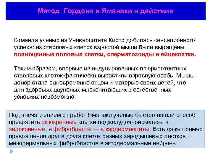 Метод Гордона и Яманаки в действии Команда ученых из Университета Киото добилась сенсационного успеха: