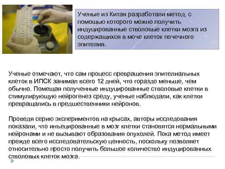 Ученые из Китая разработали метод, с помощью которого можно получить индуцированные стволовые клетки мозга