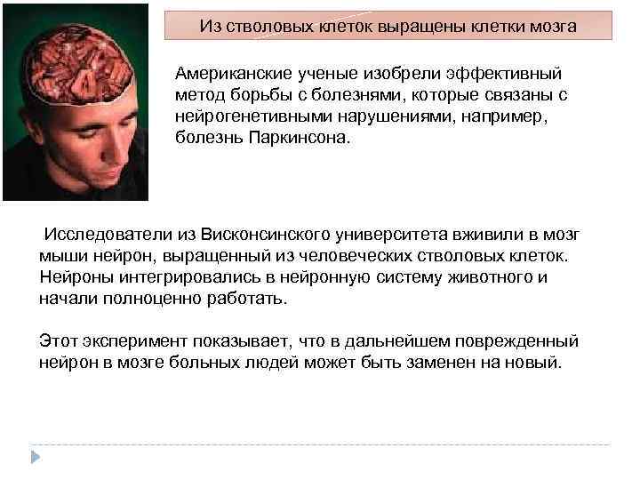 Из стволовых клеток выращены клетки мозга Американские ученые изобрели эффективный метод борьбы с болезнями,