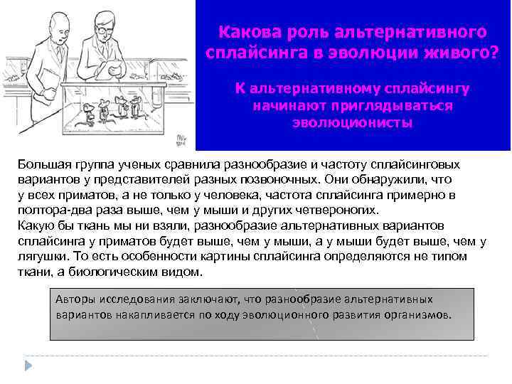 Какова роль альтернативного сплайсинга в эволюции живого? К альтернативному сплайсингу начинают приглядываться эволюционисты Большая