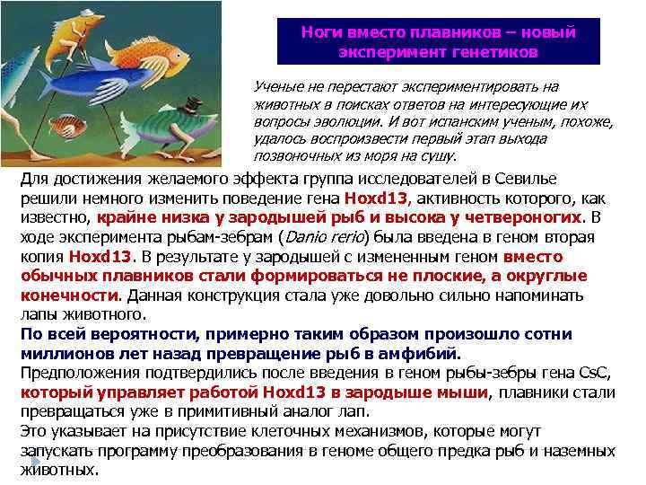Ноги вместо плавников – новый эксперимент генетиков Ученые не перестают экспериментировать на животных в