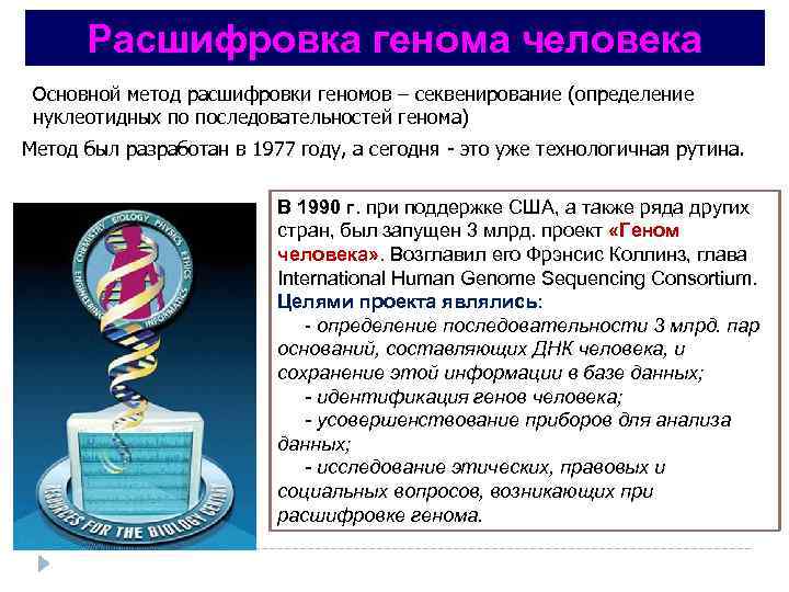 Расшифровка генома человека Основной метод расшифровки геномов – секвенирование (определение нуклеотидных по последовательностей генома)
