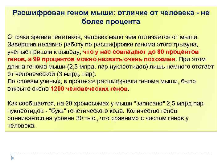 Расшифрован геном мыши: отличие от человека - не более процента С точки зрения генетиков,