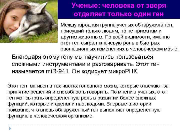 Ученые: человека от зверя отделяет только один ген Международная группа ученых обнаружила ген, присущий