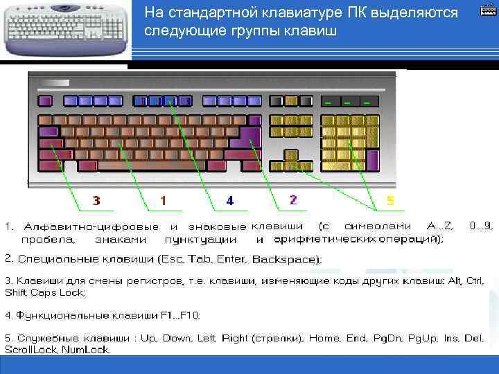 На стандартной клавиатуре ПК выделяются следующие группы клавиш 1 Сертификация в ВУЗах, Бабич А.