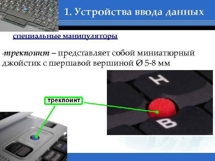 1. Устройства ввода данных специальные манипуляторы -трекпоинт – представляет собой миниатюрный джойстик с шершавой